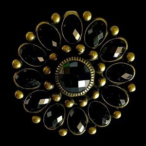 Premier Designs Retired Brooch Pendant Black Acrylic and Brass Plated